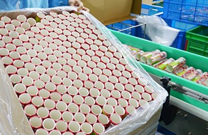 市面上紙罐包裝價格波動大嗎？